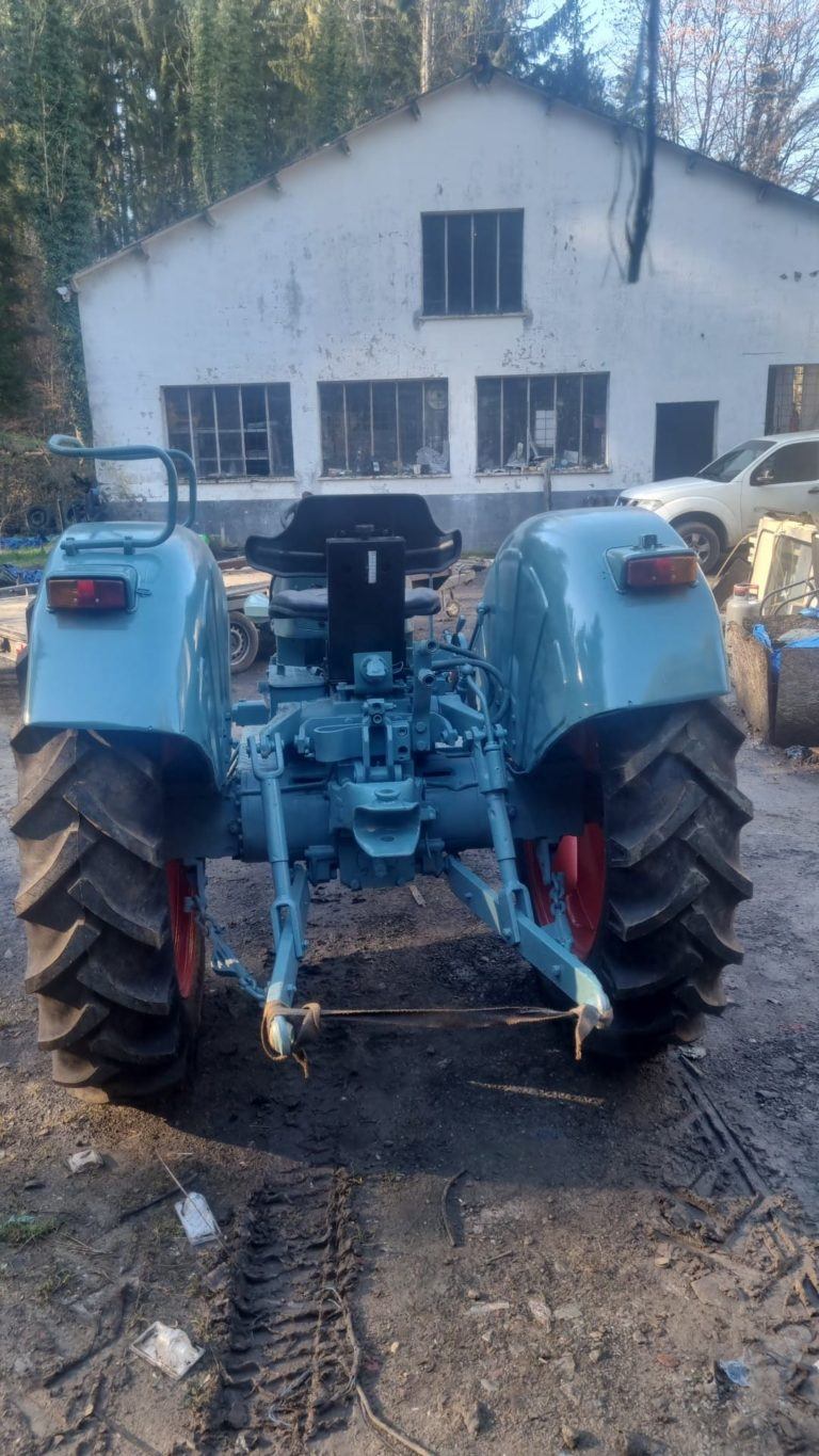 eicher konnigtiger 2