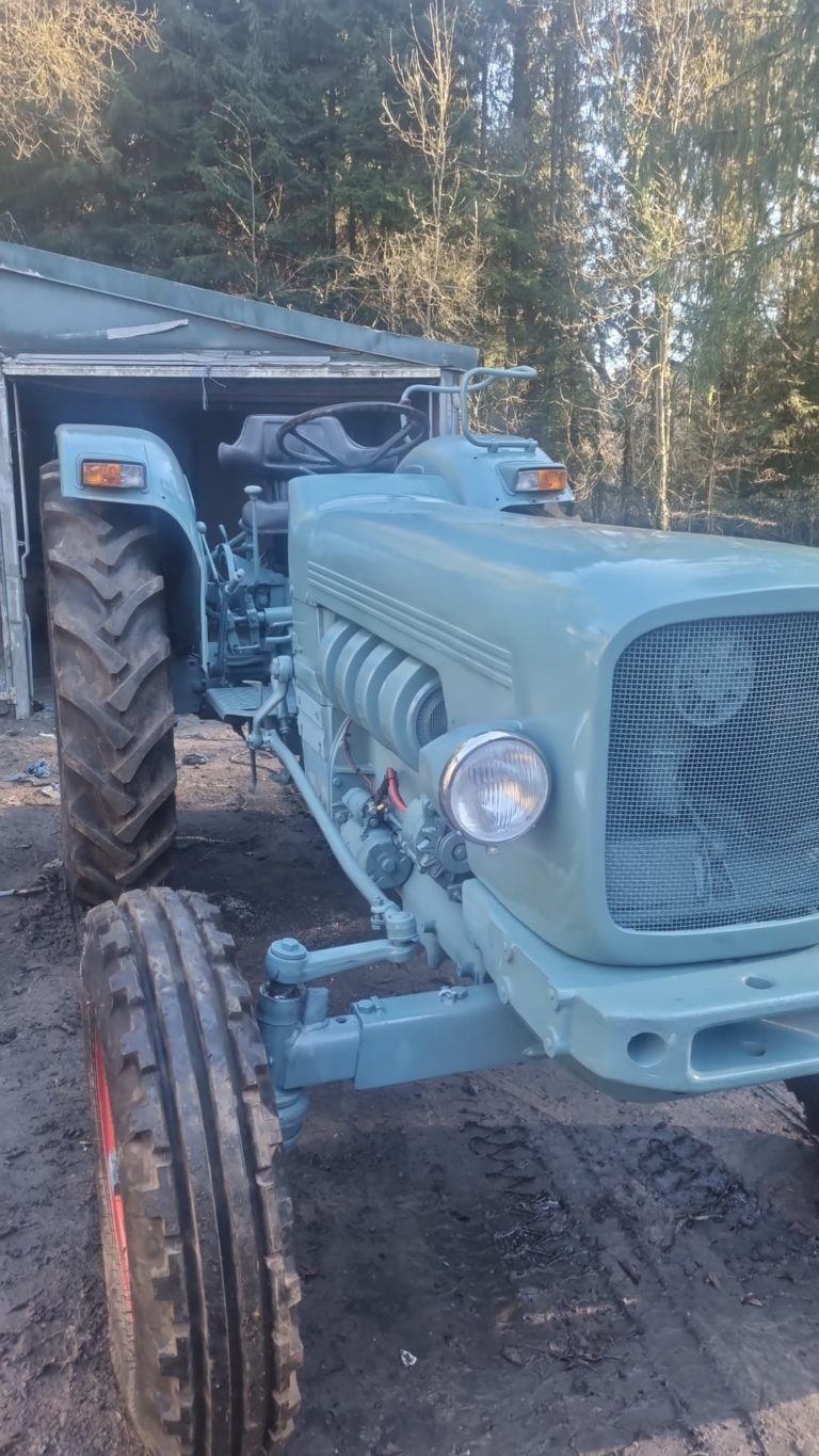 eicher konnigtiger 3