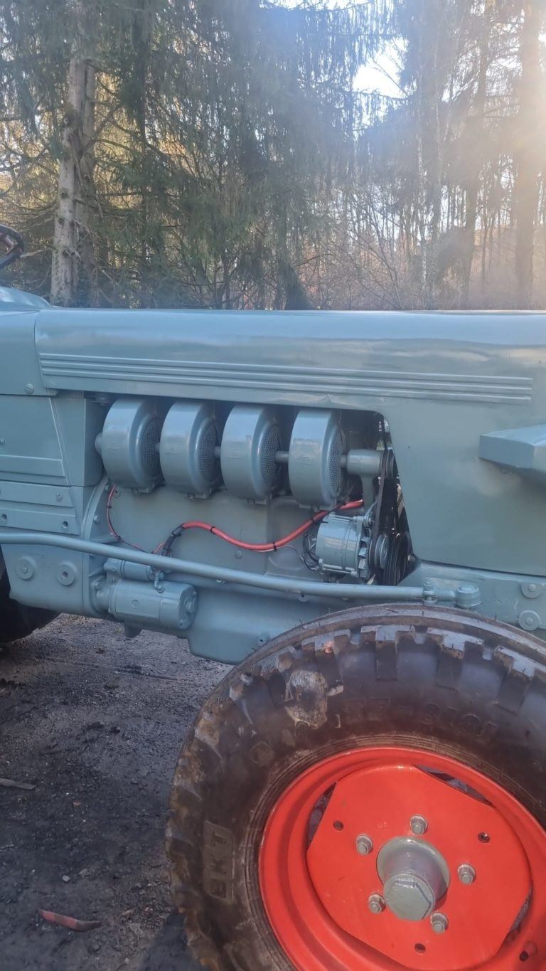 eicher konnigtiger 4